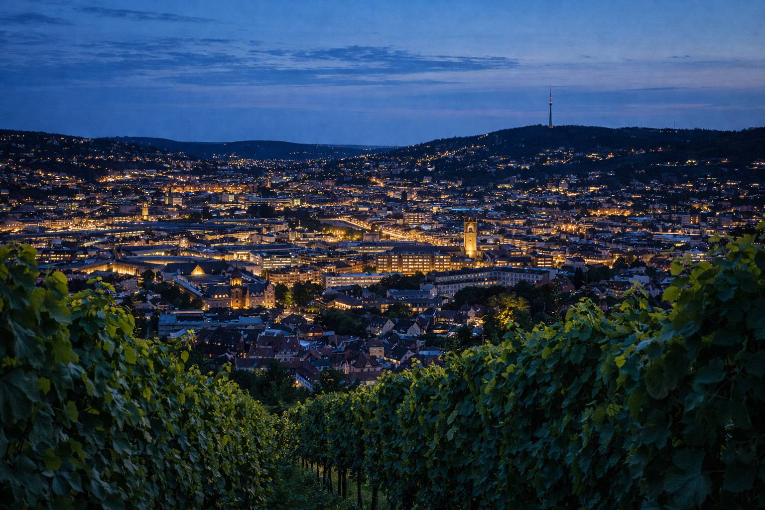 Abendliche Stuttgart-Panoramas von der Karlshöhe aus, Lichter der Stadt im Kessel, Weinreben im Vordergrund