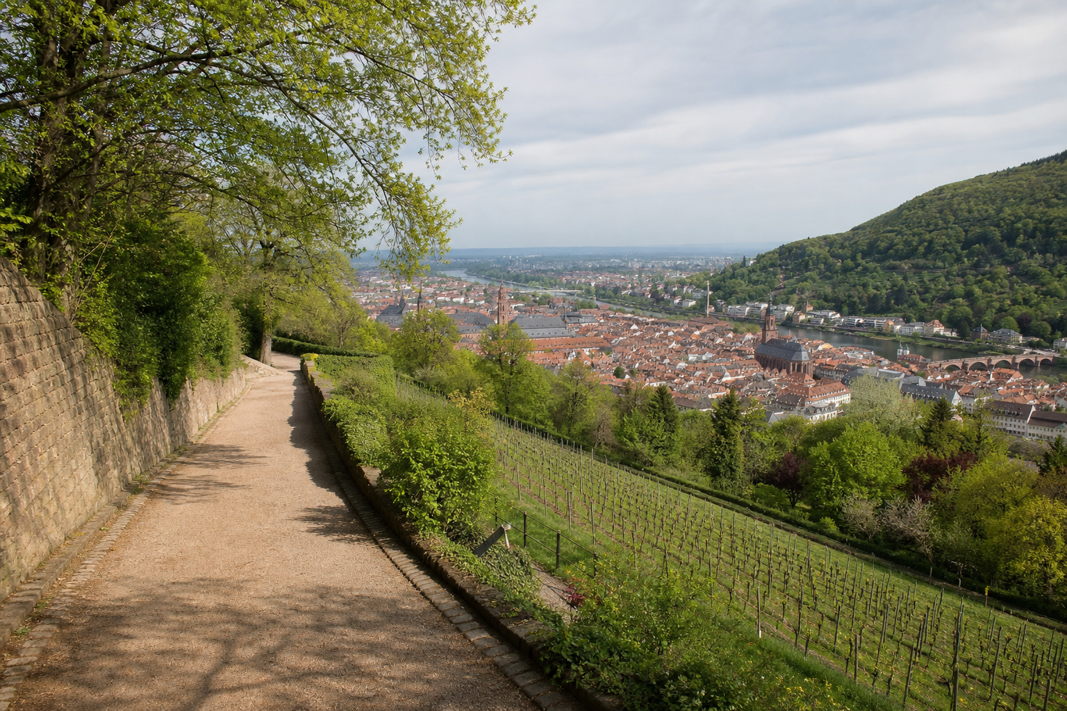 Blick vom Philosophenweg über Heidelberg und das Neckartal