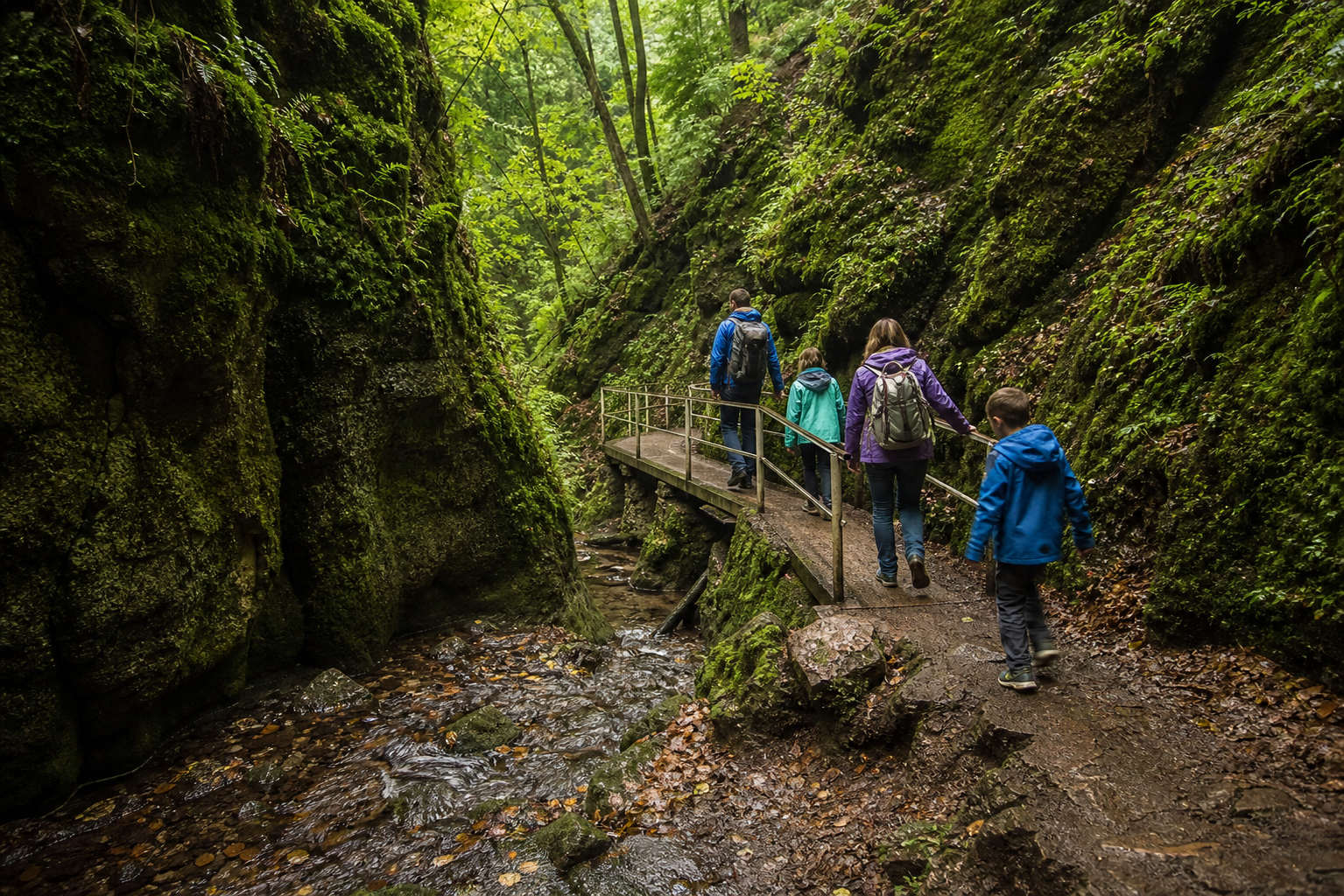 Familie auf dem schmalen Weg durch die grüne Drachenschlucht bei Eisenach