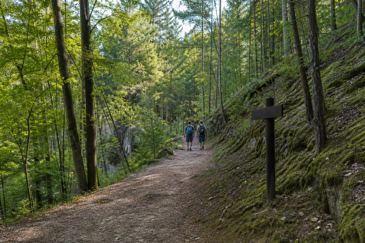 Waldweg in der Märkischen Schweiz bei Buckow mit zwei Wandernden