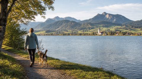 Urlaub mit Hund im Allgäu: Seen, leichte Wanderungen und hundefreundliche Orte planen