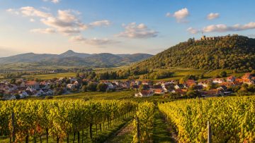 Wochenendtrip an die Deutsche Weinstraße: Weinorte, Hambacher Schloss und Pfälzer Genuss planen