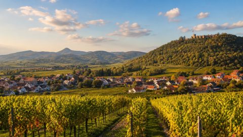 Wochenendtrip an die Deutsche Weinstraße: Weinorte, Hambacher Schloss und Pfälzer Genuss planen