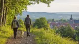Urlaub mit Hund im Harzvorland: Goslar, Bad Harzburg und entspannte Wandertage planen