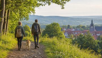 Urlaub mit Hund im Harzvorland: Goslar, Bad Harzburg und entspannte Wandertage planen