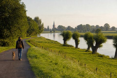 Urlaub mit Hund am Niederrhein: Xanten, Rees und Rheinauen entspannt planen