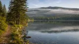 Ferienwohnung im Bayerischen Wald: Bodenmais, Arber und Nationalpark richtig planen