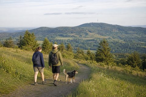 Urlaub mit Hund im Vogelsberg: Hoherodskopf, Nidda-Stausee und entspannte Wandertage