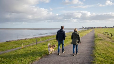 Urlaub mit Hund in Dithmarschen: Büsum, Speicherkoog und Nordsee entspannt planen