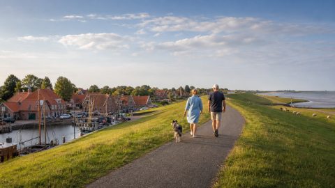 Urlaub mit Hund in Ostfriesland: Greetsiel, Deiche und Watt entspannt planen