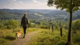 Urlaub mit Hund im Westerwald: Wiedtal, Hachenburg und ruhige Waldquartiere planen