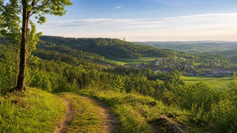 Ferienwohnung im Steigerwald: Ebrach, Baumwipfelpfad und Weinorte richtig planen