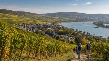 Wochenendtrip in den Rheingau: Weinberge, Rheinorte und entspannte Planung