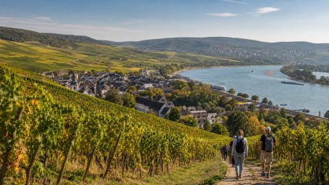 Wochenendtrip in den Rheingau: Weinberge, Rheinorte und entspannte Planung