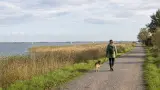 Urlaub mit Hund am Dümmer See: Lembruch, Hüde und entspannte Tage am Wasser planen