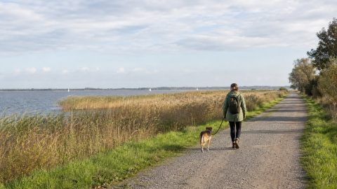 Urlaub mit Hund am Dümmer See: Lembruch, Hüde und entspannte Tage am Wasser planen
