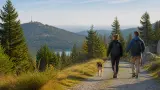 Urlaub mit Hund im Fichtelgebirge: Ochsenkopf, Fichtelsee und entspannte Waldtage planen