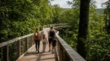 Familienwochenende im Hainich: Baumkronenpfad, Wildkatzendorf und entspannte Waldtage planen