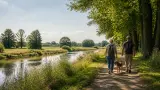 Urlaub mit Hund im Emsland: Hasetal, Moorwege und entspannte Quartiere planen