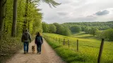 Urlaub mit Hund im Münsterland: Baumberge, Schlosswege und entspannte Quartiere planen