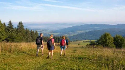 Kurzurlaub im Vogelsberg: Hoherodskopf, Vulkanradweg und Fachwerkorte entspannt planen