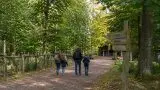 Familienwochenende im Solling-Vogler: Wildpark Neuhaus, Weser und kurze Waldwege planen