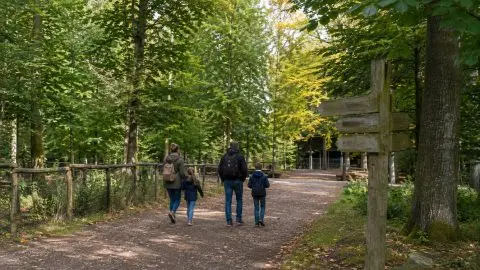 Familienwochenende im Solling-Vogler: Wildpark Neuhaus, Weser und kurze Waldwege planen
