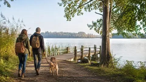Urlaub mit Hund an der Mecklenburgischen Seenplatte: Waren, Müritz und entspannte Uferwege planen