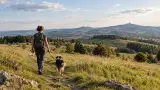 Urlaub mit Hund in der Rhön: Wasserkuppe, Moore und entspannte Wanderwege planen